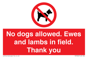 PV7264: No dogs allowed. Ewes and lambs in field. Thank you