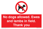 PV7264: No dogs allowed. Ewes and lambs in field. Thank you