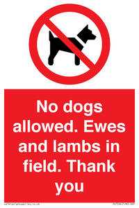 PV7264: No dogs allowed. Ewes and lambs in field. Thank you