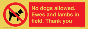 PV7264: No dogs allowed. Ewes and lambs in field. Thank you