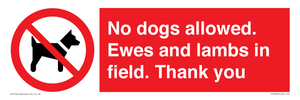 PV7264: No dogs allowed. Ewes and lambs in field. Thank you