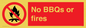PV7276: No BBQs or fires