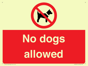 PV7367: No dogs allowed