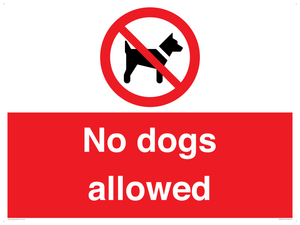 PV7367: No dogs allowed