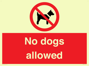 PV7367: No dogs allowed