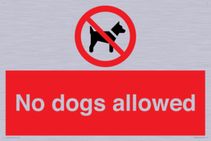 PV7367: No dogs allowed