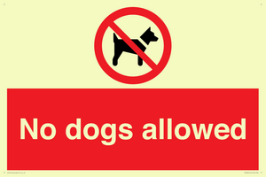 PV7367: No dogs allowed