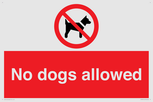 PV7367: No dogs allowed
