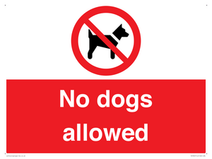 PV7367: No dogs allowed
