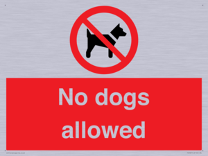 PV7367: No dogs allowed