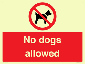 PV7367: No dogs allowed