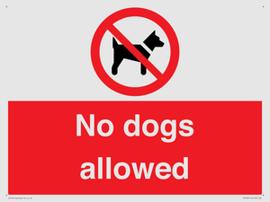 PV7367: No dogs allowed