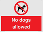 PV7367: No dogs allowed