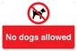 PV7367: No dogs allowed