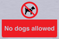 PV7367: No dogs allowed