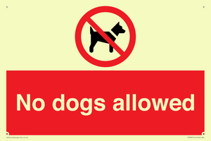 PV7367: No dogs allowed
