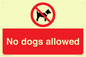 PV7367: No dogs allowed