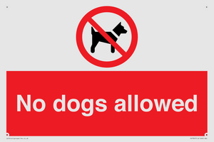 PV7367: No dogs allowed