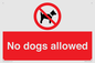 PV7367: No dogs allowed