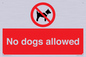 PV7367: No dogs allowed
