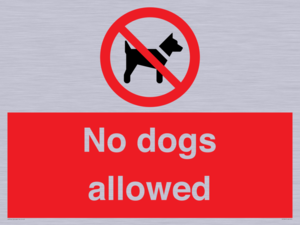 PV7367: No dogs allowed