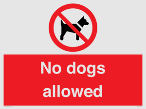 PV7367: No dogs allowed