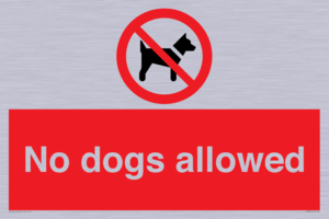 PV7367: No dogs allowed