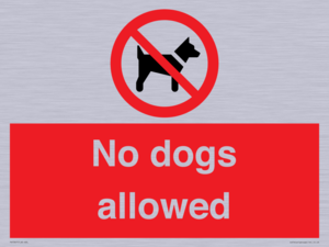 PV7367: No dogs allowed