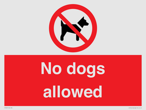 PV7367: No dogs allowed