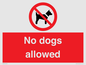 PV7367: No dogs allowed