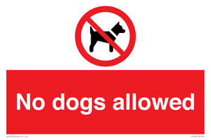 PV7367: No dogs allowed