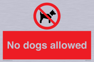 PV7367: No dogs allowed