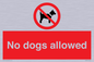 PV7367: No dogs allowed