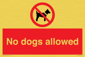 PV7367: No dogs allowed