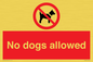 PV7367: No dogs allowed