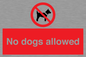 PV7367: No dogs allowed