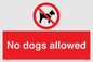 PV7367: No dogs allowed