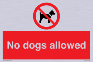 PV7367: No dogs allowed