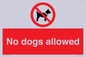 PV7367: No dogs allowed