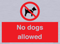 PV7367: No dogs allowed