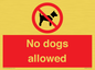 PV7367: No dogs allowed