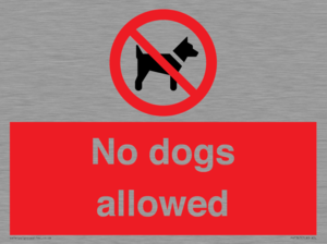 PV7367: No dogs allowed
