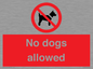 PV7367: No dogs allowed