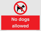 PV7367: No dogs allowed