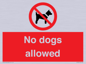 PV7367: No dogs allowed