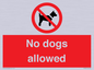 PV7367: No dogs allowed