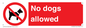 PV7367: No dogs allowed