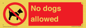 PV7367: No dogs allowed