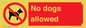 PV7367: No dogs allowed