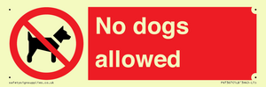 PV7367: No dogs allowed